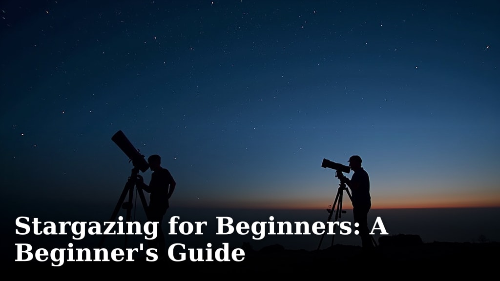 Stargazing for Beginners: A Beginner’s Guide